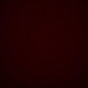 Meet your Posher, Sylvia